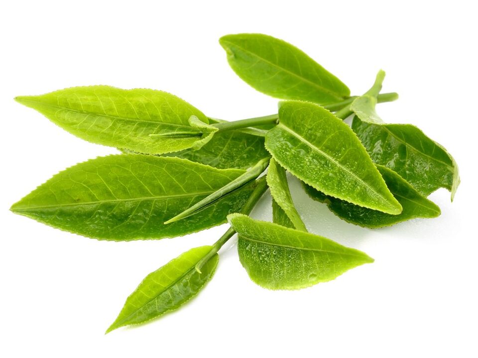 зелен чай в Keto Matcha